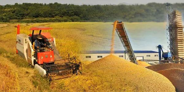 1607061124772741.jpg 微信圖片_20201204135026.jpg