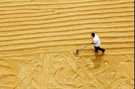 1607061136670509.jpg 微信圖片_20201204135029.jpg