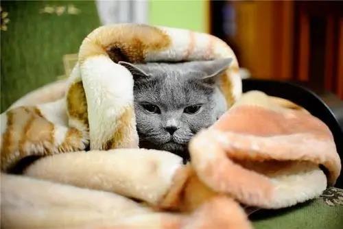 1607061269436276.jpg 微信圖片_20201204135258.jpg