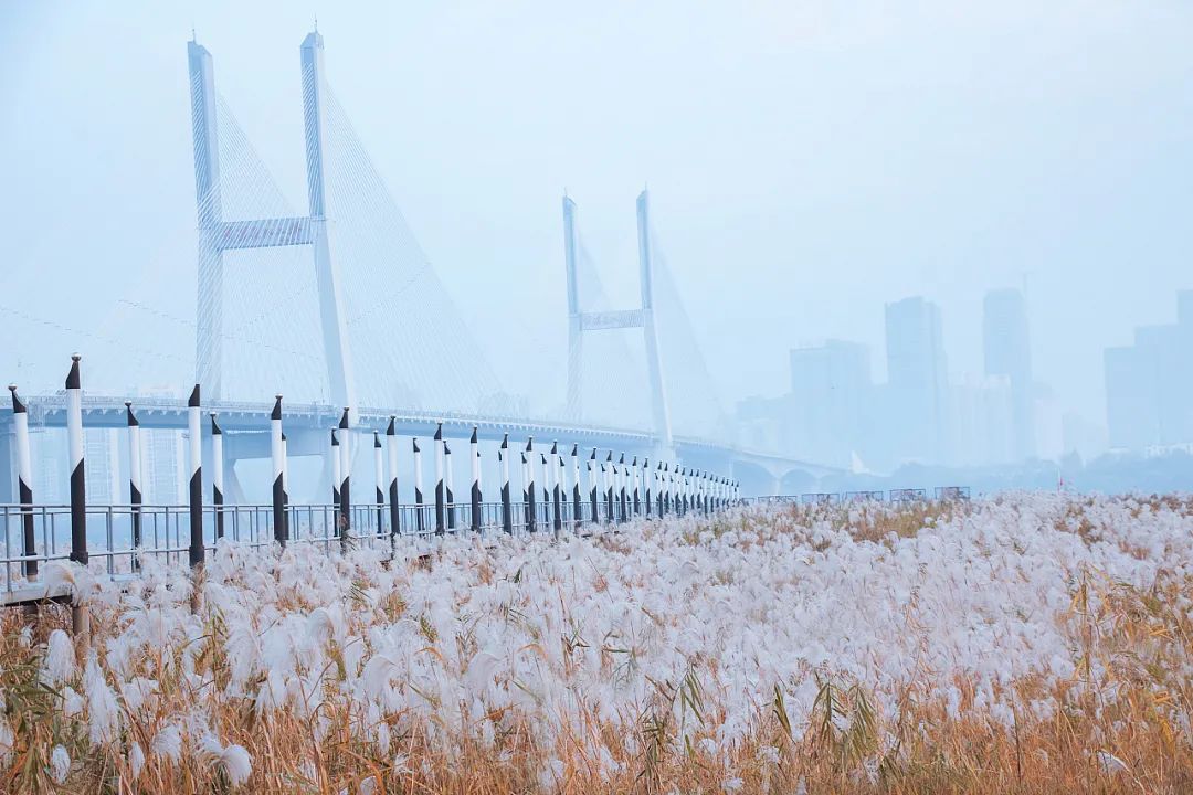 1649835627737746.jpg 微信圖片_20220413152928.jpg